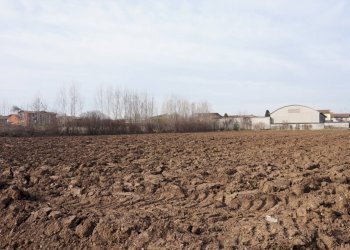 Foto 2 - Terreno edificabile VIA Stroppe, Isorella - foto 2