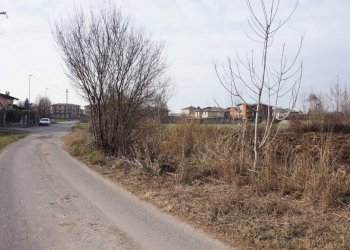 Foto 4 - Terreno edificabile VIA Stroppe, Isorella - foto 4