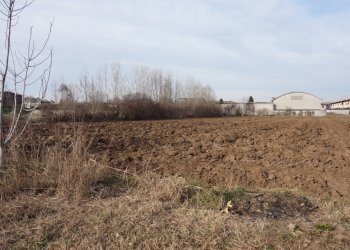 Foto 5 - Terreno edificabile VIA Stroppe, Isorella - foto 5