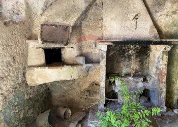 Dettagli - Rustic Strada comunale di Grotte Palombo
 
1, Rocchetta a Volturno - photo 18