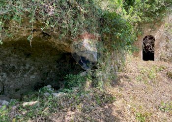 Giardino - Rustic Strada comunale di Grotte Palombo
 
1, Rocchetta a Volturno - photo 24