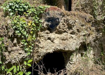 Giardino - Rustic Strada comunale di Grotte Palombo
 
1, Rocchetta a Volturno - photo 31