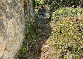 Giardino - Rustic Strada comunale di Grotte Palombo
 
1, Rocchetta a Volturno - photo 32