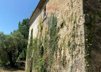 Casa all\'aperto - Rustic Strada comunale di Grotte Palombo
 
1, Rocchetta a Volturno - photo 33
