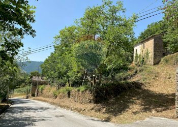 Giardino - Rustic Strada comunale di Grotte Palombo
 
1, Rocchetta a Volturno - photo 34