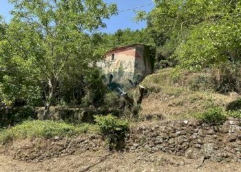 Giardino - Rustic Strada comunale di Grotte Palombo
 
1, Rocchetta a Volturno - photo 35