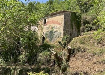 Casa all\'aperto - Rustic Strada comunale di Grotte Palombo
 
1, Rocchetta a Volturno - photo 36