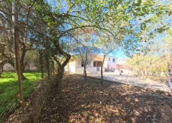 Giardino - Villa via delle Palme, Torretta - photo 2