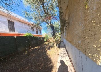 Giardino - Villa via delle Palme, Torretta - photo 3