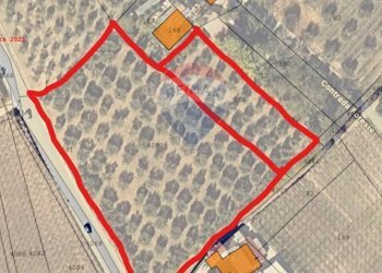 Posizione della mappa - Terreno agricolo c.da Foreste, Miglianico - foto 1