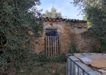 Casa all\'aperto - Terreno agricolo c.da Foreste, Miglianico - foto 6