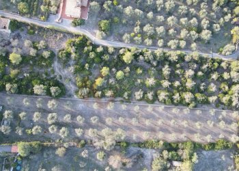 Foto 34 - Villa Str. Vicinale Monte oro II traversa
 
13l, Sassari - foto 34