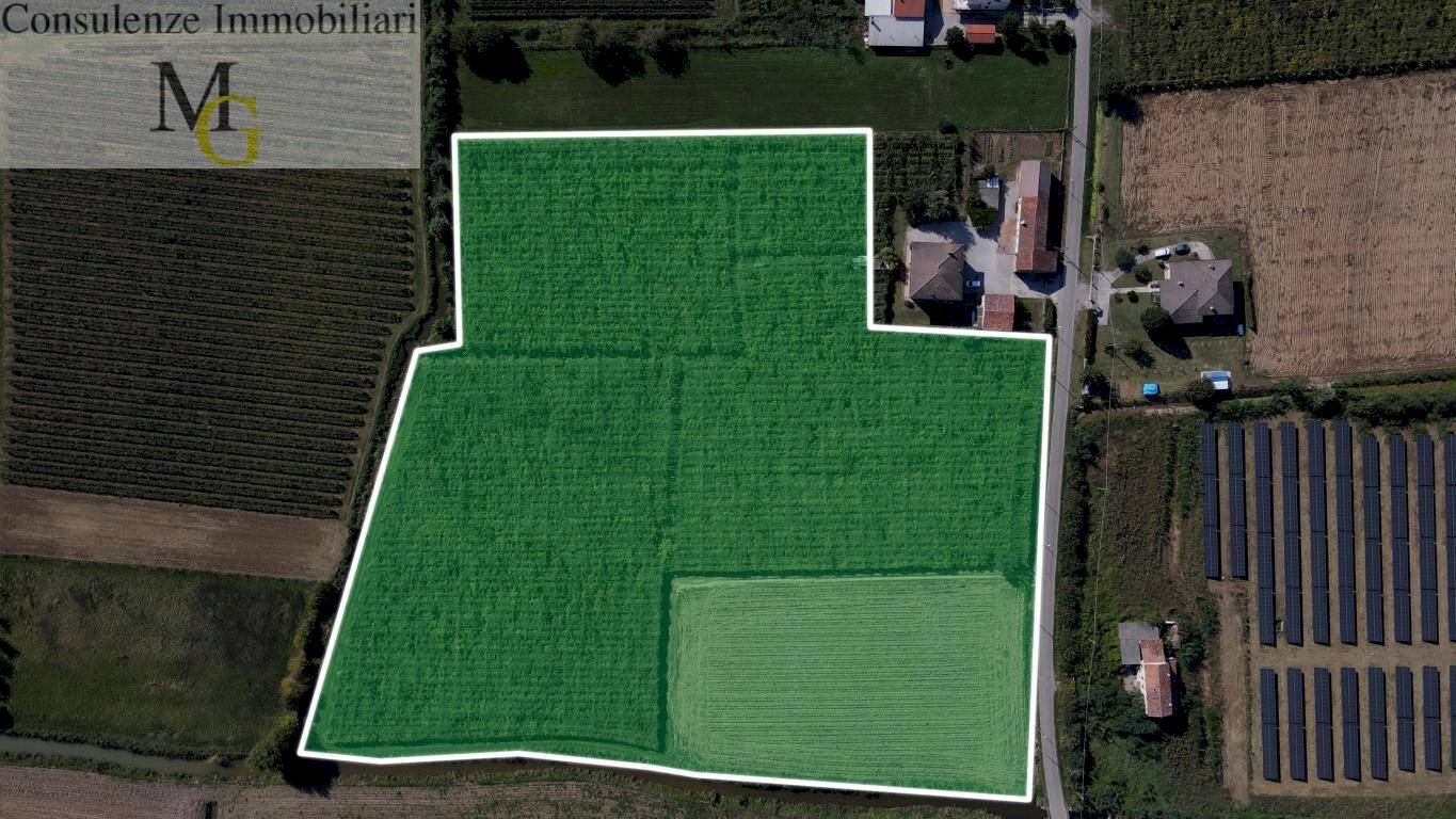 Foto 1 - Agricultural land Cologna Veneta - photo 1