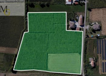 Foto 1 - Terreno agricolo Cologna Veneta - foto 1