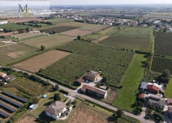 Foto 2 - Terreno agricolo Cologna Veneta - foto 2