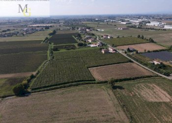 Foto 3 - Terreno agricolo Cologna Veneta - foto 3