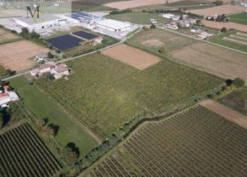 Foto 4 - Terreno agricolo Cologna Veneta - foto 4