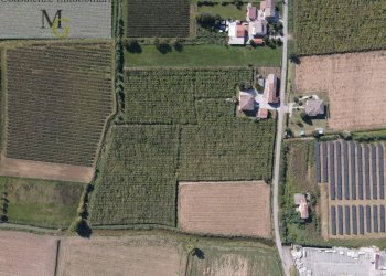 Foto 5 - Terreno agricolo Cologna Veneta - foto 5