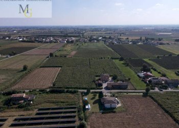 Foto 6 - Terreno agricolo Cologna Veneta - foto 6