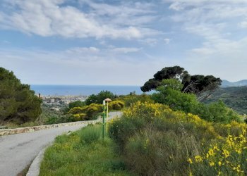vista - Terreno edificabile Alla Strà, Savona - foto 3
