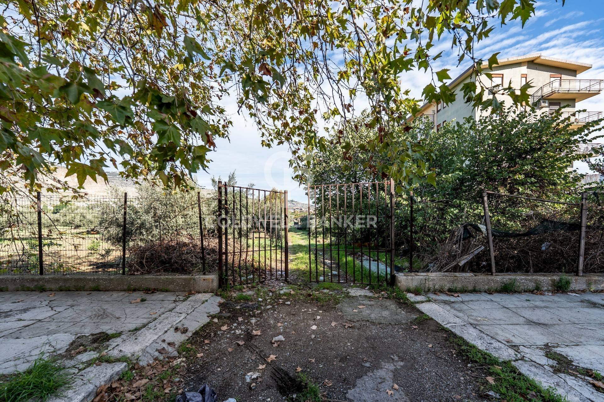 Foto 2 - Terreno agricolo VIA LEONARDO DA VINCI, Palermo - foto 2