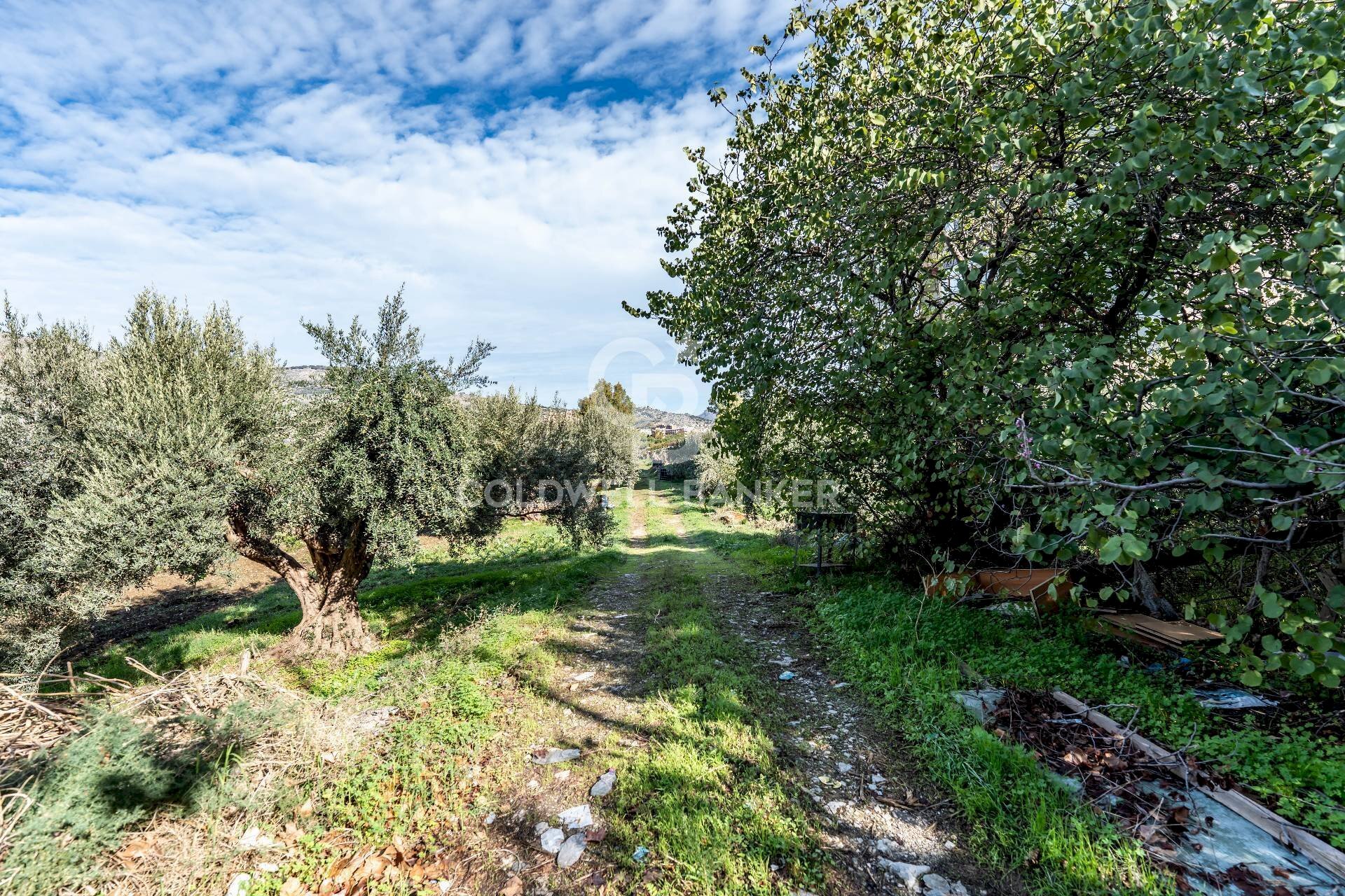 Foto 3 - Terreno agricolo VIA LEONARDO DA VINCI, Palermo - foto 3