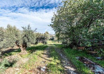 Foto 3 - Terreno agricolo VIA LEONARDO DA VINCI, Palermo - foto 3