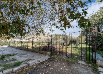 Foto 4 - Terreno agricolo VIA LEONARDO DA VINCI, Palermo - foto 4