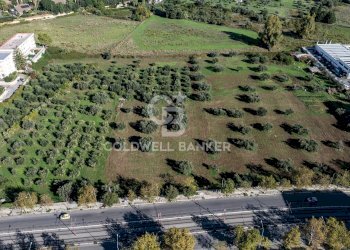 Foto 5 - Terreno agricolo VIA LEONARDO DA VINCI, Palermo - foto 5