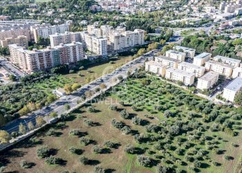 Foto 8 - Terreno agricolo VIA LEONARDO DA VINCI, Palermo - foto 8