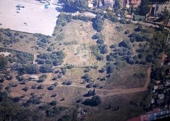 Foto 6 - Terreno agricolo VIALE MICHELALENGELO, Palermo - foto 6