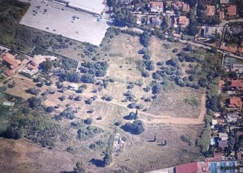 Foto 7 - Terreno agricolo VIALE MICHELALENGELO, Palermo - foto 7