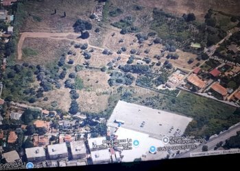 Foto 9 - Terreno agricolo VIALE MICHELALENGELO, Palermo - foto 9