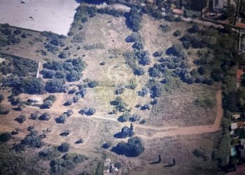 Foto 12 - Terreno agricolo VIALE MICHELALENGELO, Palermo - foto 12