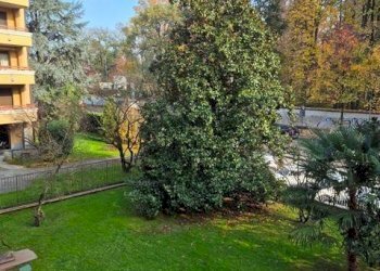 Giardino - Trilocale via Cesare Battisti, 23, Vedano al Lambro - foto 12