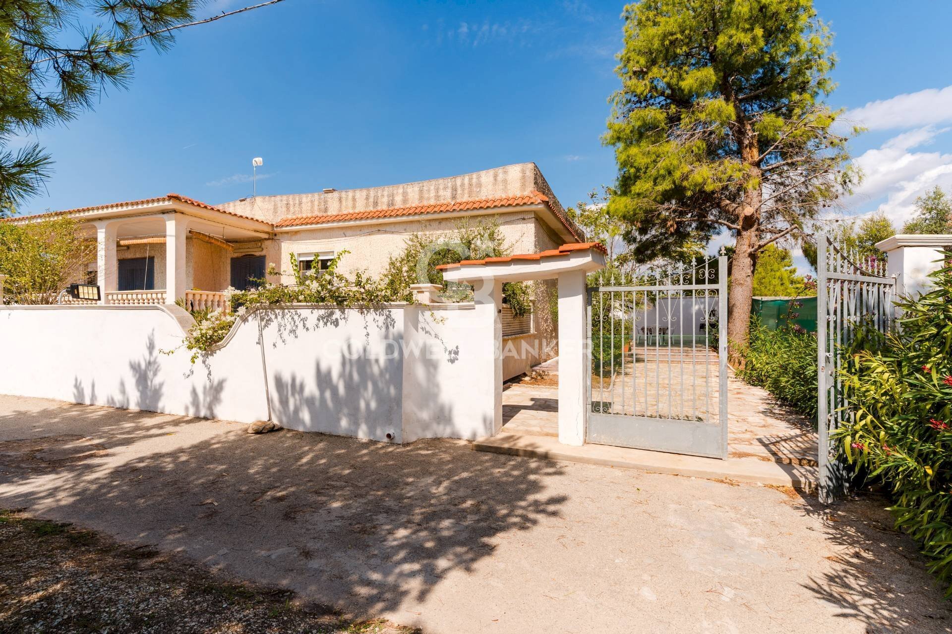 Foto 3 - Villa Strada della Contessa Lanfranchi, Maruggio - photo 3