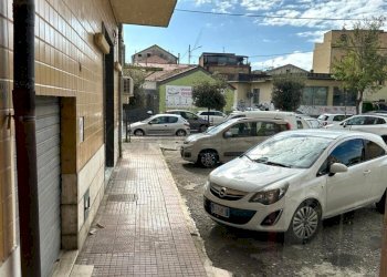 85196fa9-442d-442e-a7a4-be2ffe29930e.jpg - Cartoleria - Libreria Via Torrazzo, Catanzaro - foto 12