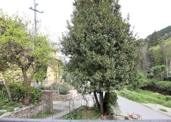 vendesi casa colonica lucca colline IMG_6091.JPG - Terratetto - Terracielo Via della Boccaccia 1c, Lucca - foto 14