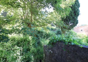 vendesi rustico da ristrutturare luccaIMG_0096.JPG - Casale Guamo 34A, Capannori - photo 22