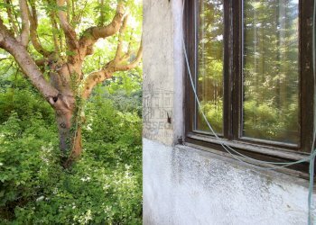 vendesi rustico da ristrutturare luccaIMG_0098.JPG - Casale Guamo 34A, Capannori - photo 27