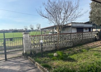 IMG_2497.jpg - Villa Stienta - foto 26