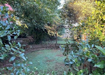 04 giardino (1).JPG - Villa Via Garibaldi 37, Noventa Vicentina - foto 20