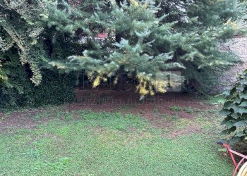 04 giardino (3).JPG - Villa Via Garibaldi 37, Noventa Vicentina - foto 22