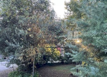 04 giardino (4).JPG - Villa Via Garibaldi 37, Noventa Vicentina - foto 23