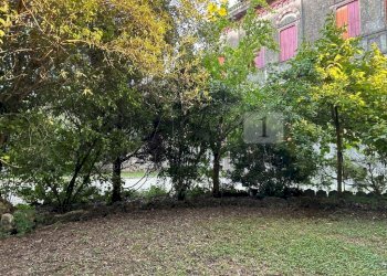 04 giardino (6).JPG - Villa Via Garibaldi 37, Noventa Vicentina - foto 25