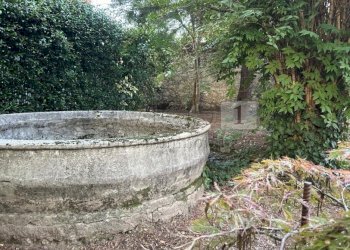 04 giardino (7).JPG - Villa Via Garibaldi 37, Noventa Vicentina - foto 26