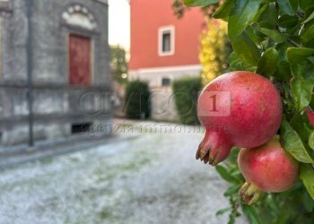 05 esterno (2).JPG - Villa Via Garibaldi 37, Noventa Vicentina - foto 28