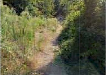 9.jpg - Villa at auction Via Dercogna 24, Davagna - photo 9