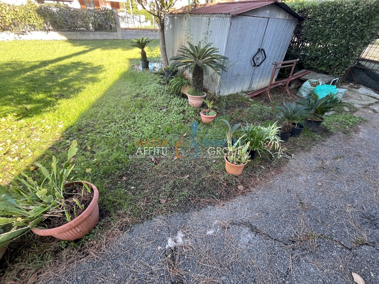 IMG_5376 2.JPG - Villa Via Venezia 54, Massa - foto 2