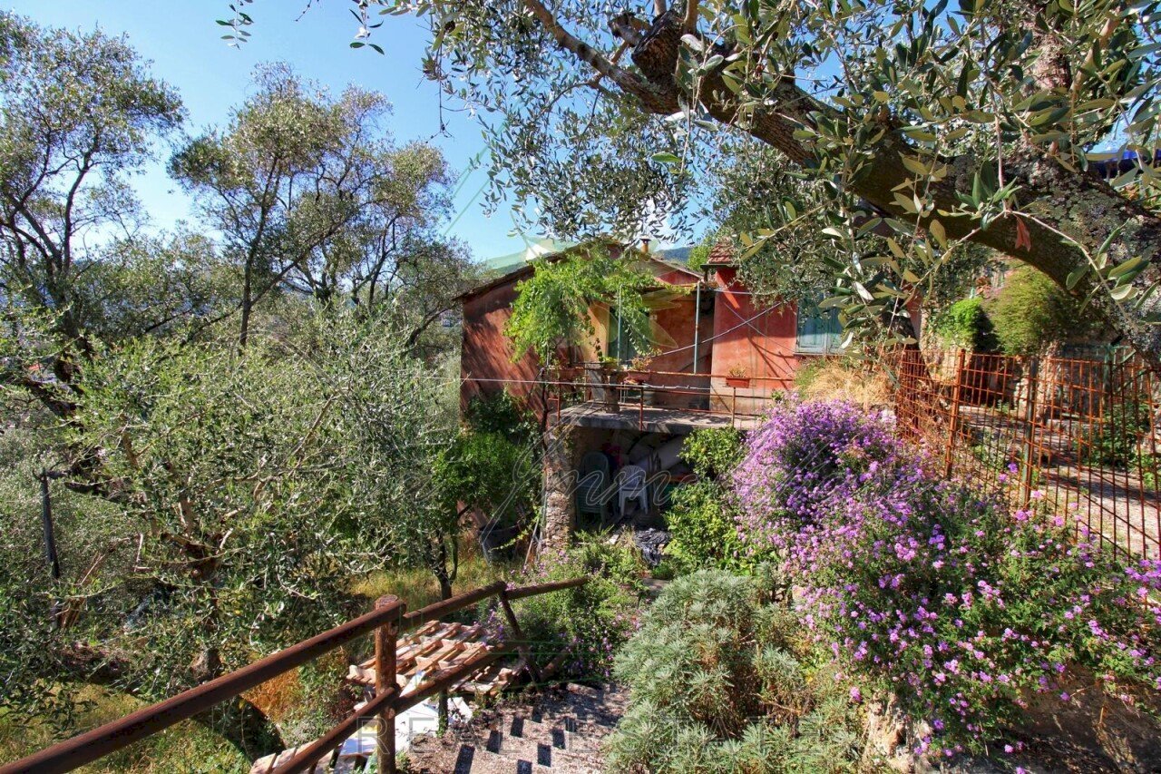 IMG-20250730-WA0140.jpg - Rustic Via Ugo Campodonico Caduto Partigiano 6, Rapallo - photo 2